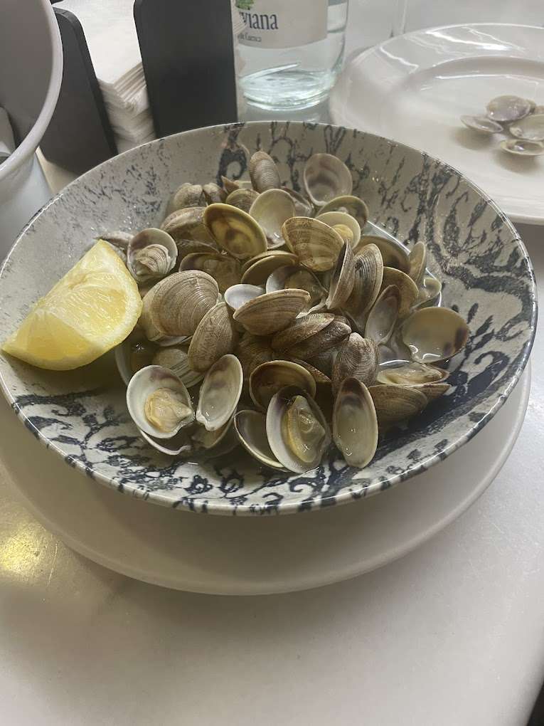 Coquina de Huelva