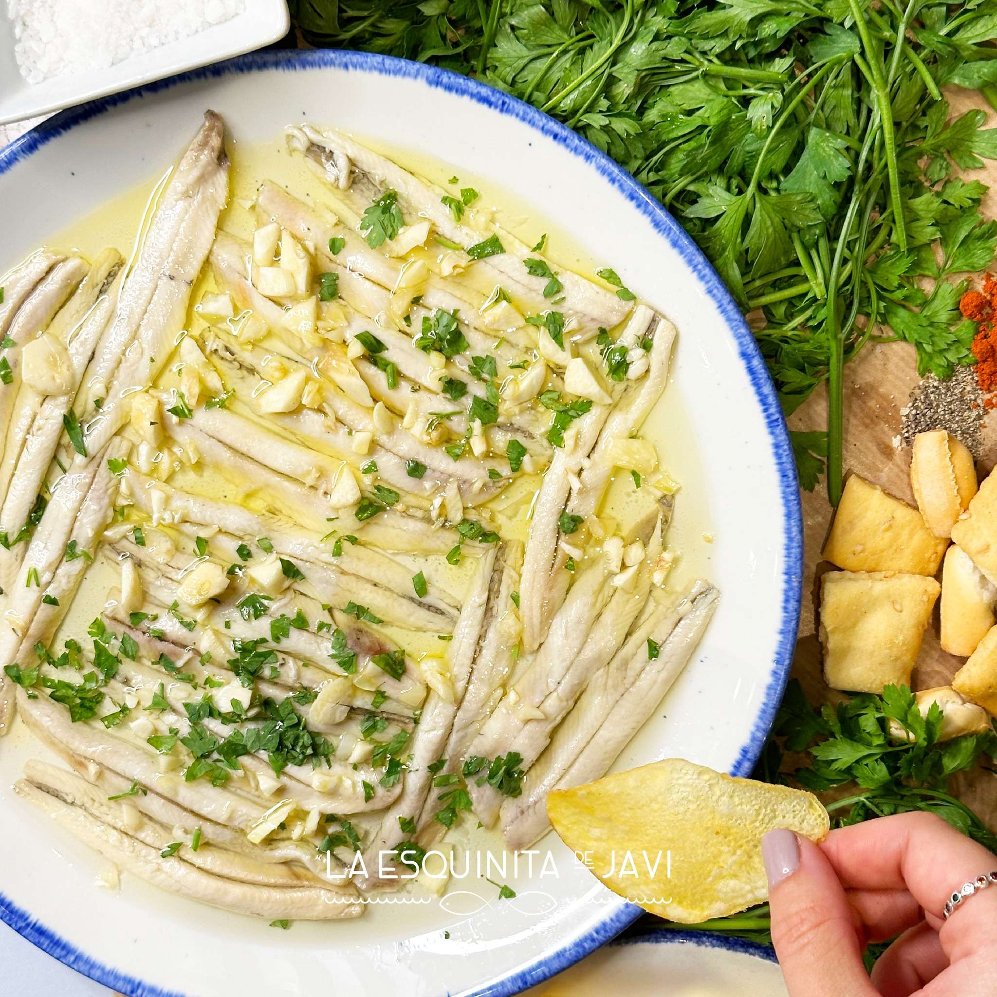 ANCHOA DE SANTOÑA