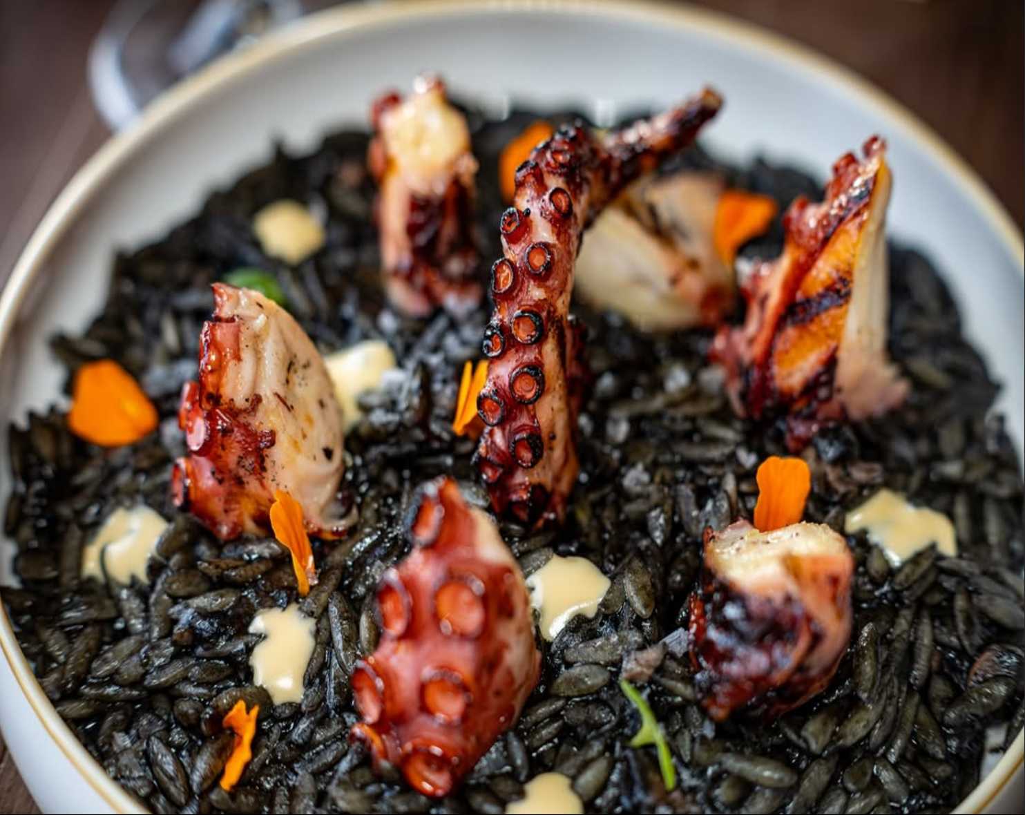 Pulpo a la Brasa sobre Falso Arroz Negro y Alioli de Amontillado