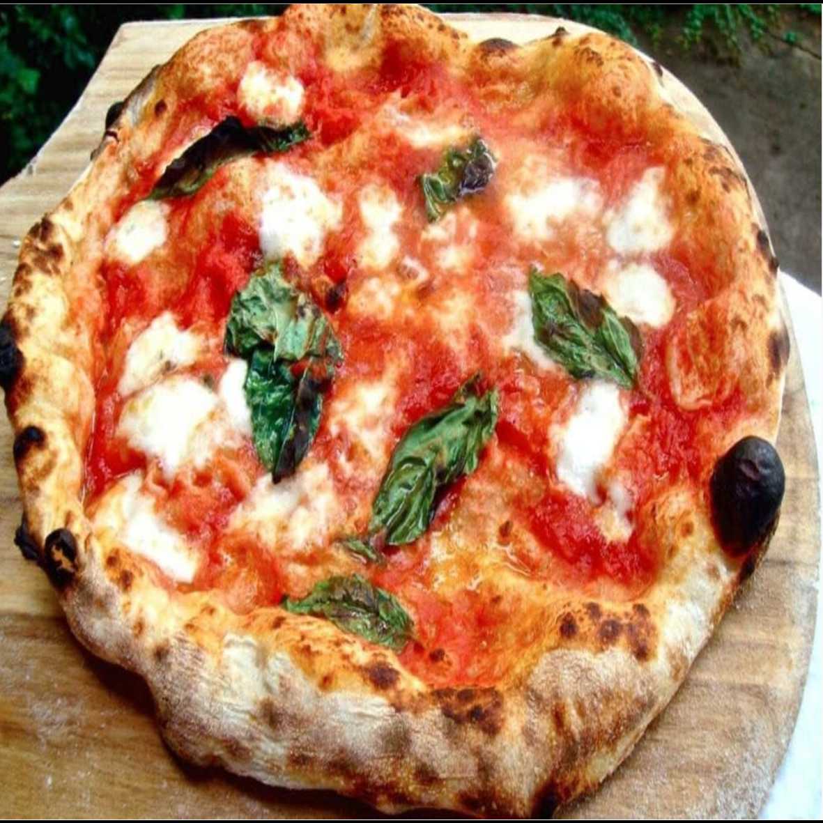 PIZZA MARGARITA
