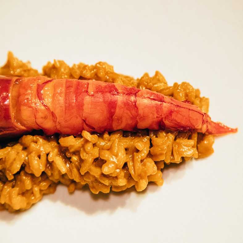 Arroz con quisquilla y carabinero